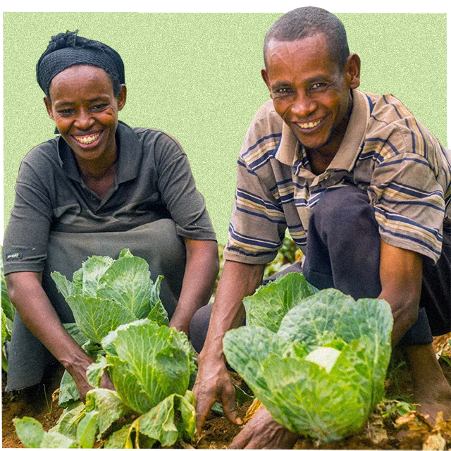 innocent farmer innovation fund