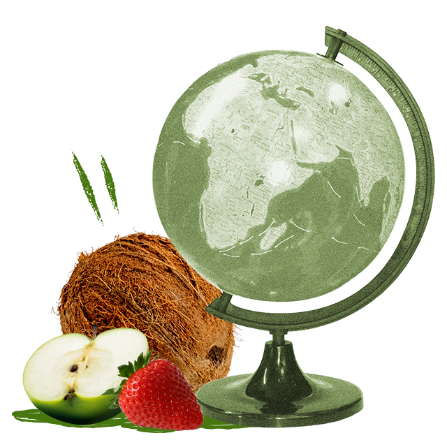 Globe avec une noix de coco, une pomme et une fraise